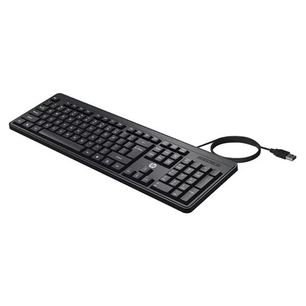 HP K100 Wired Keyboard